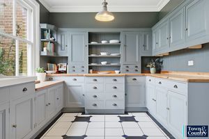 THE HAWK- click for photo gallery